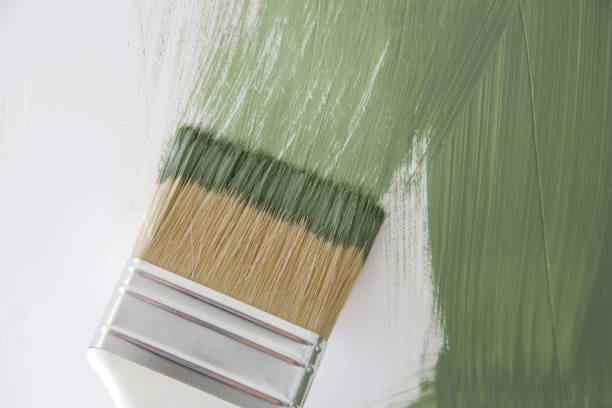  Deer Park, WA Mold Removal Pros