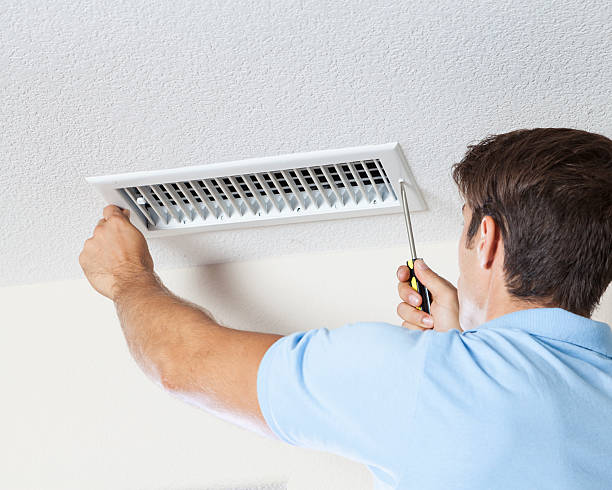 Best Attic Mold Removal  in Deer Park, WA