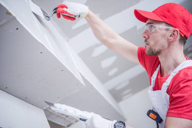 Trusted Deer Park, WA Mold Removal Experts